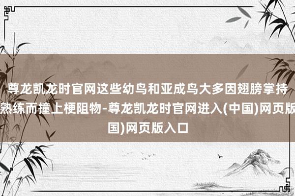 尊龙凯龙时官网这些幼鸟和亚成鸟大多因翅膀掌持不够熟练而撞上梗阻物-尊龙凯龙时官网进入(中国)网页版入口